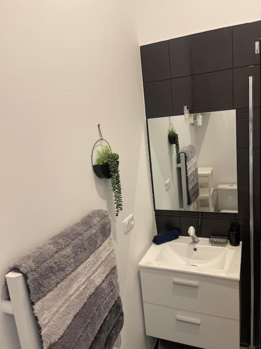 Joli Studio Maisonnette Avec Cachet Toulouse Dış mekan fotoğraf